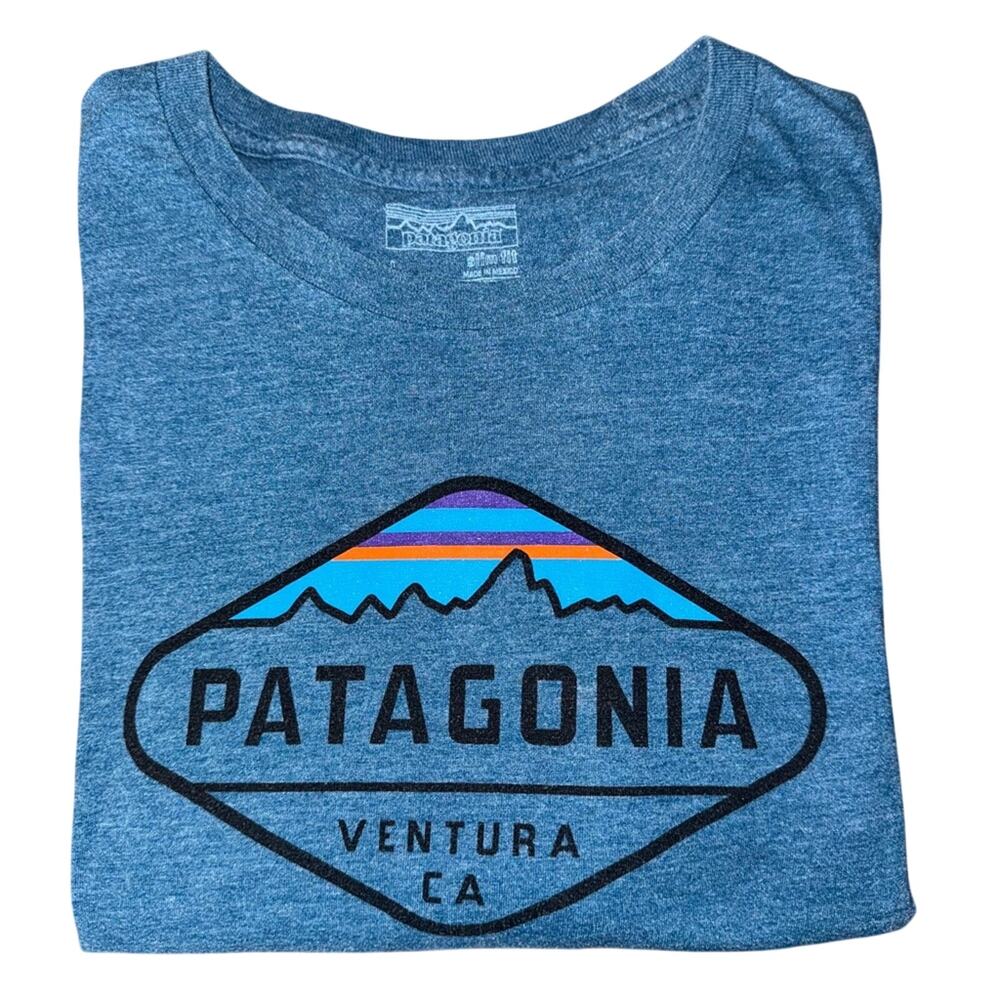 Patagonia Blue Graphic T-Shirt